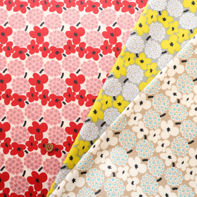 �J���[�o���G�[�V����