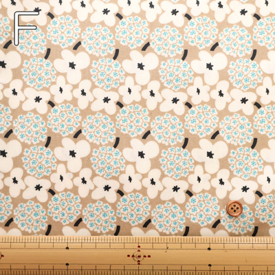 �J���[�o���G�[�V����