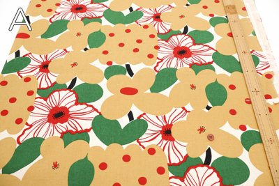 �J���[�o���G�[�V����