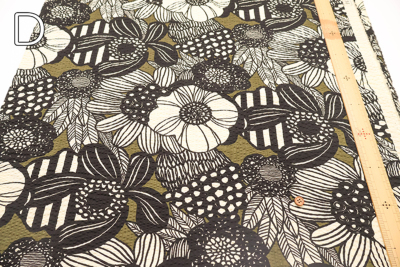 �J���[�o���G�[�V����