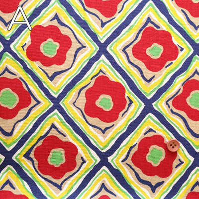 �J���[�o���G�[�V����