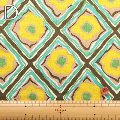 �J���[�o���G�[�V����