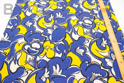 �J���[�o���G�[�V����