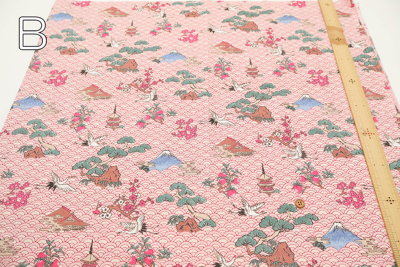 �J���[�o���G�[�V����