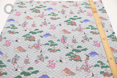 �J���[�o���G�[�V����