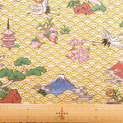 �J���[�o���G�[�V����