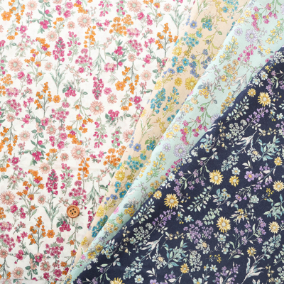 �J���[�o���G�[�V����