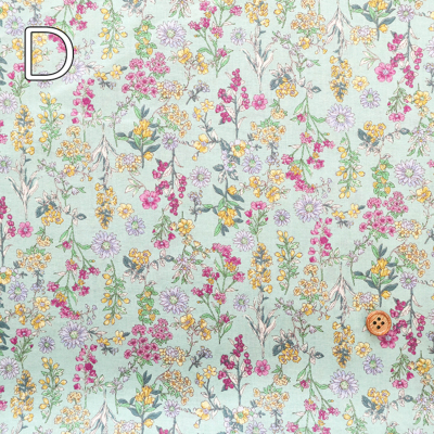 �J���[�o���G�[�V����