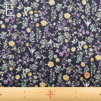 �J���[�o���G�[�V����