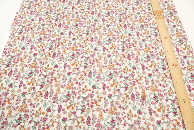 �J���[�o���G�[�V����