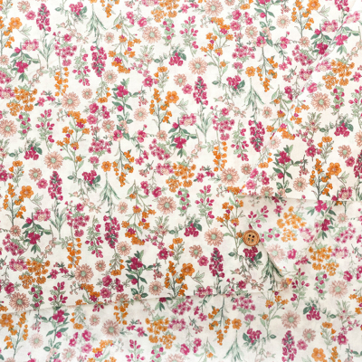 �J���[�o���G�[�V����