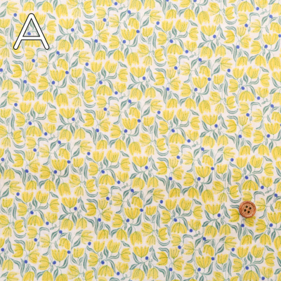 �J���[�o���G�[�V����