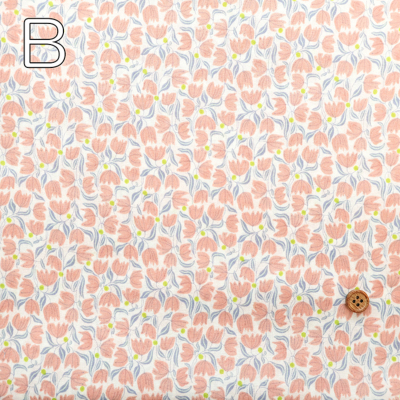 �J���[�o���G�[�V����