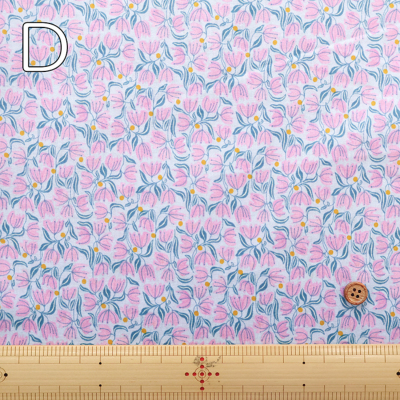 �J���[�o���G�[�V����