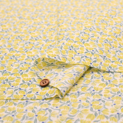 �J���[�o���G�[�V����