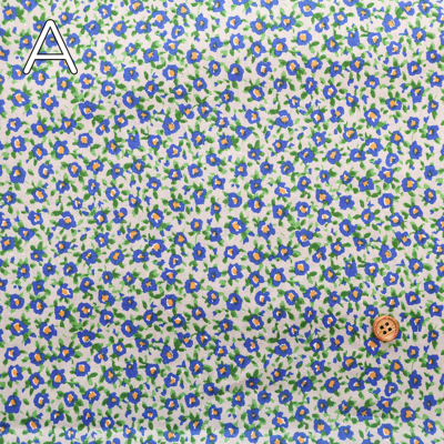 �J���[�o���G�[�V����