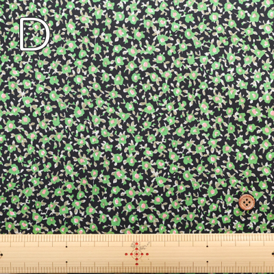 �J���[�o���G�[�V����