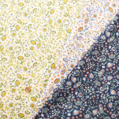 �J���[�o���G�[�V����