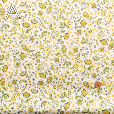 �J���[�o���G�[�V����