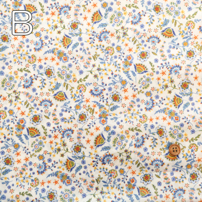 �J���[�o���G�[�V����