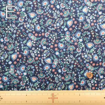 �J���[�o���G�[�V����