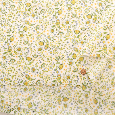 �J���[�o���G�[�V����