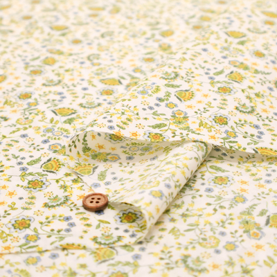 �J���[�o���G�[�V����