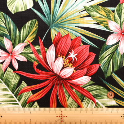 �J���[�o���G�[�V����