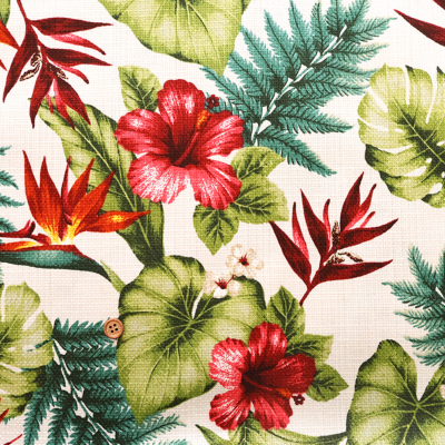 �J���[�o���G�[�V����