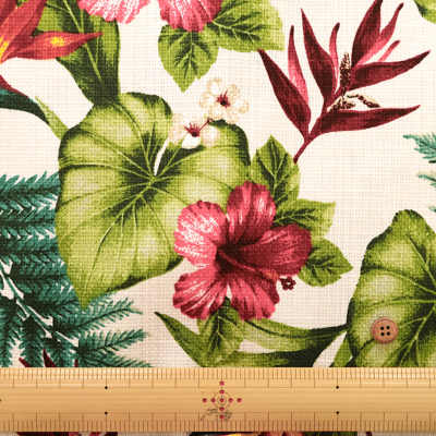 �J���[�o���G�[�V����