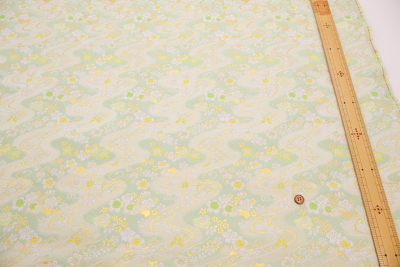 �J���[�o���G�[�V����