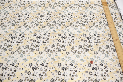 �J���[�o���G�[�V����