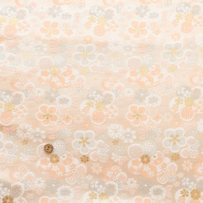 �J���[�o���G�[�V����