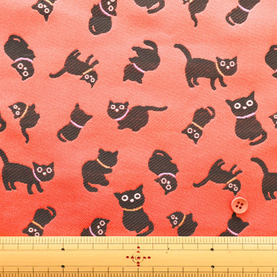 �J���[�o���G�[�V����