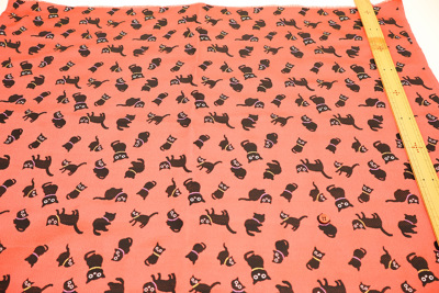 �J���[�o���G�[�V����