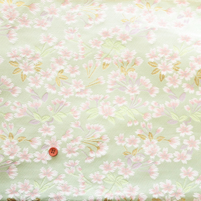 �J���[�o���G�[�V����