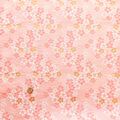 �J���[�o���G�[�V����