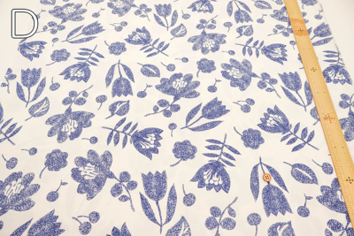 �J���[�o���G�[�V����