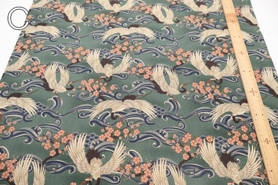 �J���[�o���G�[�V����