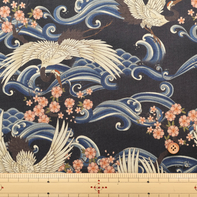 �J���[�o���G�[�V����