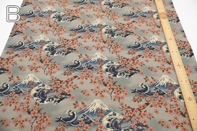 �J���[�o���G�[�V����