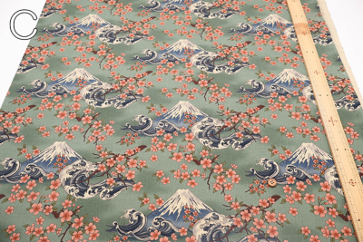 �J���[�o���G�[�V����