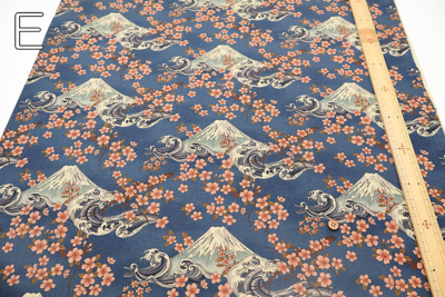 �J���[�o���G�[�V����