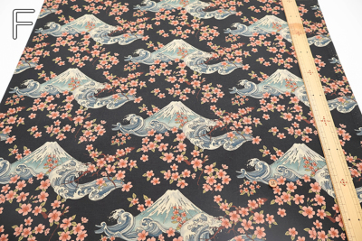 �J���[�o���G�[�V����