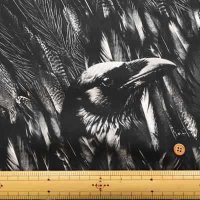 �J���[�o���G�[�V����