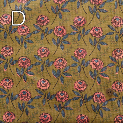 J[oG[V