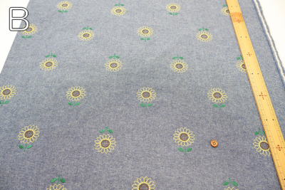 �J���[�o���G�[�V����