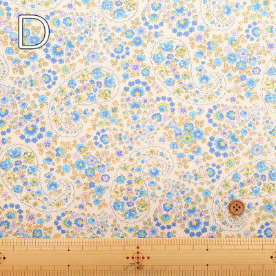 �J���[�o���G�[�V����