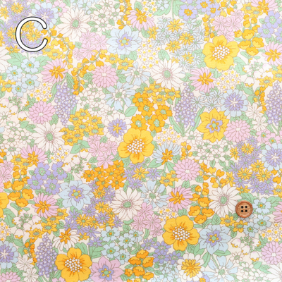 �J���[�o���G�[�V����