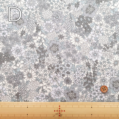 �J���[�o���G�[�V����